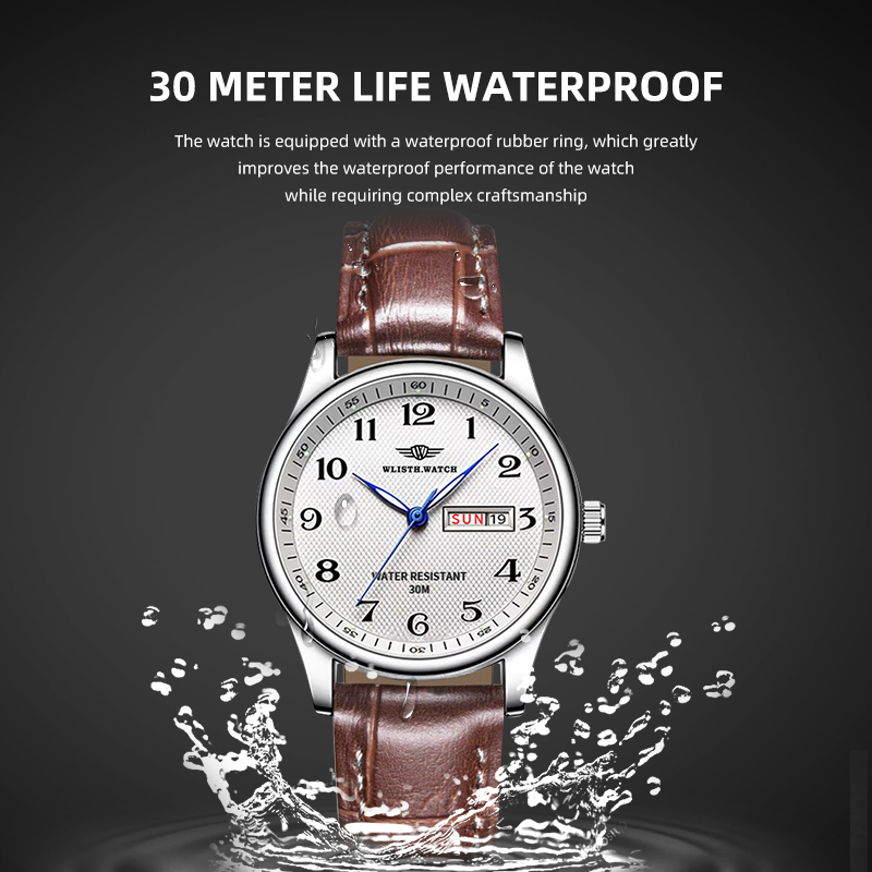 WLISTH Luxury Brand Men's Watc - огляд і ціна Luxury Watch Maker