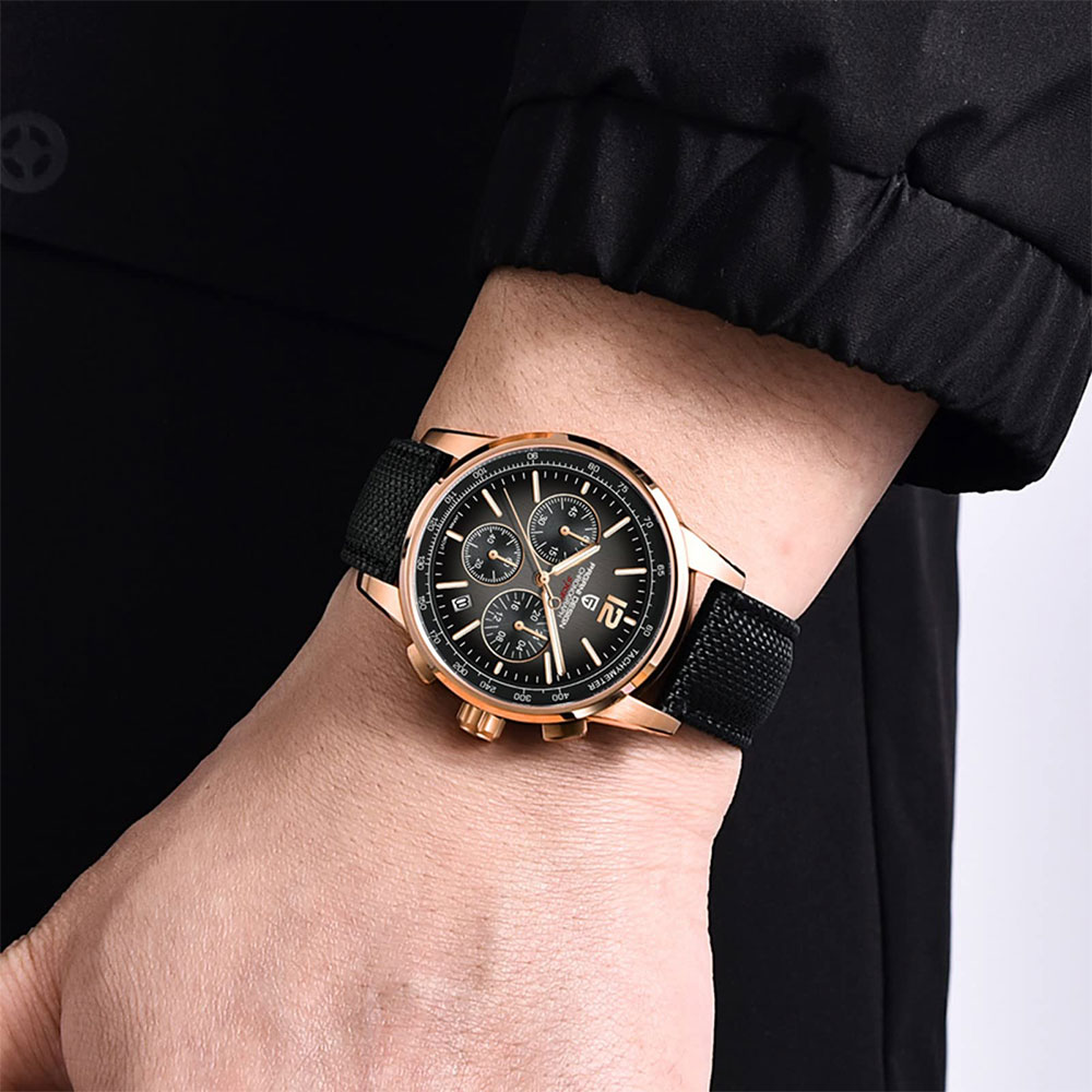 PAGANI DESIGN New Mens Watch 4 - огляд і ціна Luxury Watch Maker