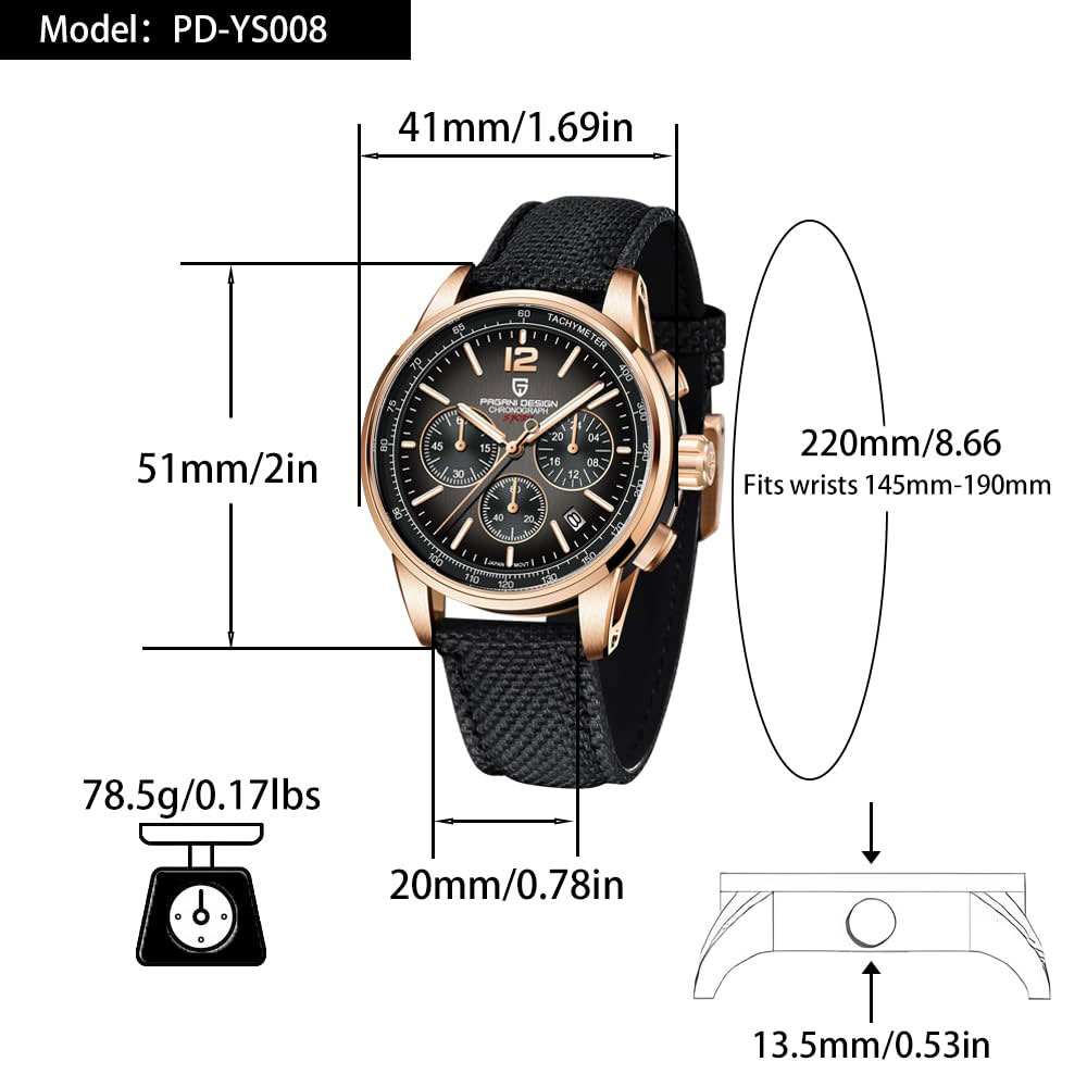 PAGANI DESIGN New Mens Watch 4 - огляд і ціна Luxury Watch Maker